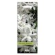Αρωματικό Αυτοκινήτου Κρεμαστό Feral Natural Collection Jasmine