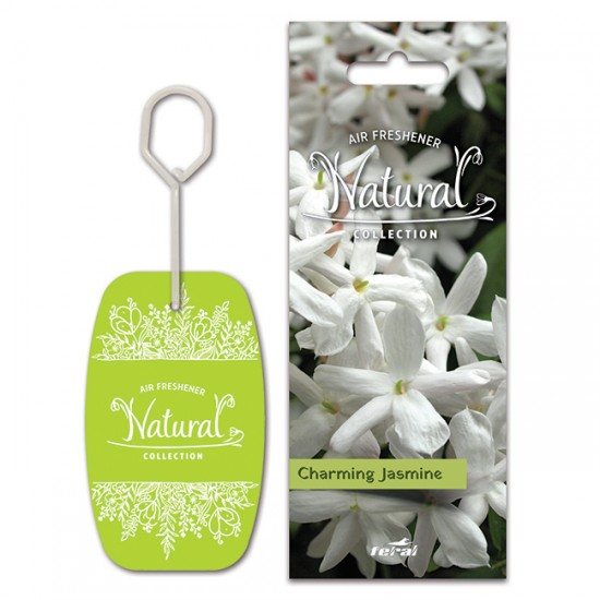 Σετ Αρωματικών Αυτοκινήτου Feral Natural Collection 6Τμχ