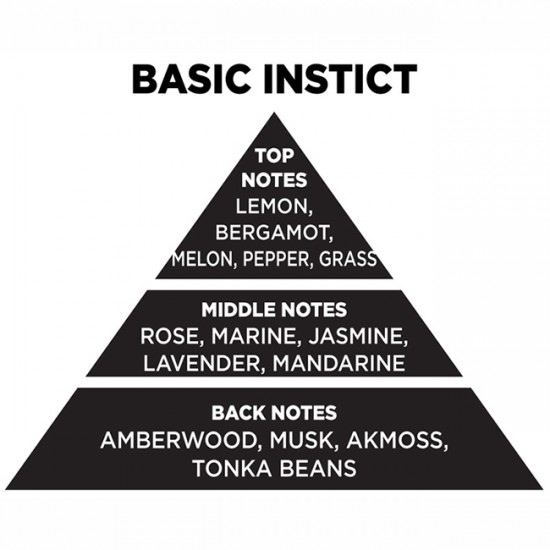 Αρωματικό Κερί Σόγιας Themagio Basic Instict 300gr 1 Τεμάχιο