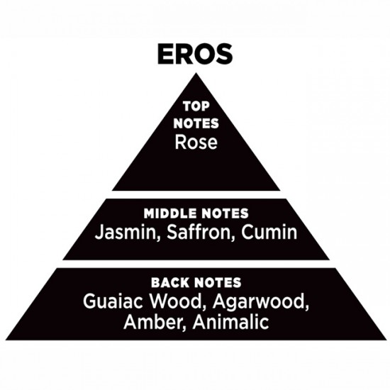 Αρωματικό Χώρου Με Sticks Themagio Eros 100ml 1 Τεμάχιο