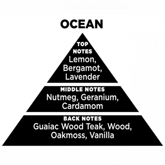 Αρωματικό Χώρου Με Sticks Themagio Ocean 100ml 1 Τεμάχιο