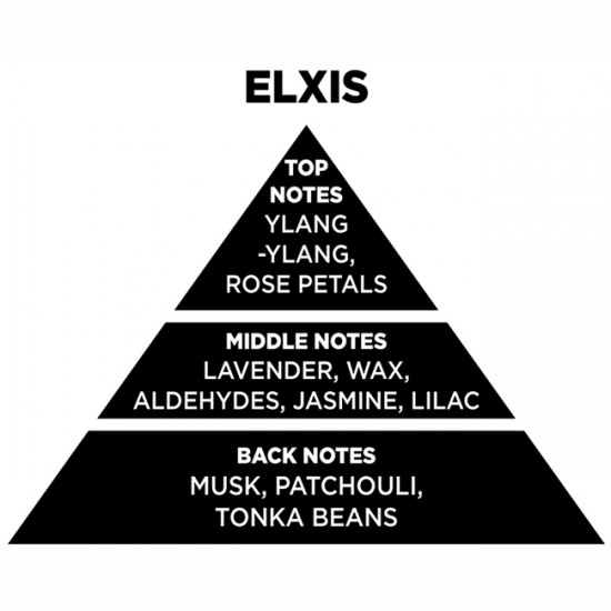 Αρωματικό Χώρου Με Sticks Themagio Elxis 100ml 1 Τεμάχιο