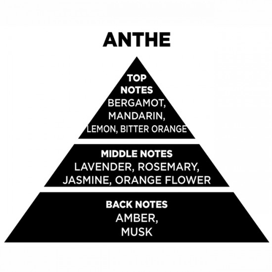 Αρωματικό Χώρου Με Sticks Themagio Anthe 100ml 1 Τεμάχιο