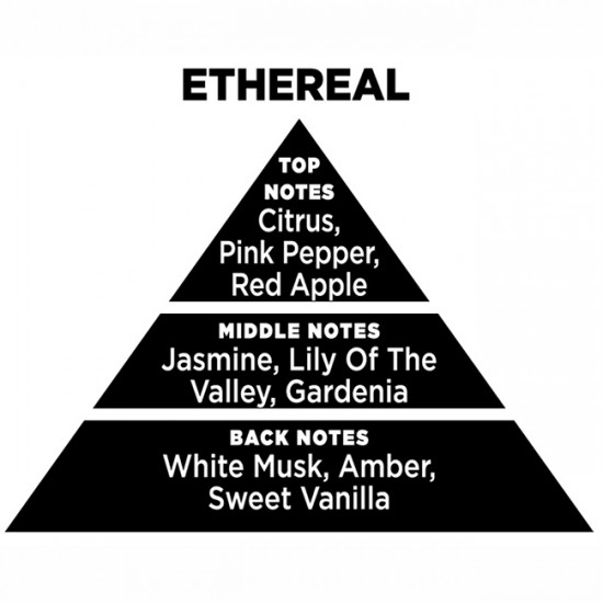 Αρωματικό Χώρου Με Sticks Themagio Ethereal 100ml 1 Τεμάχιο