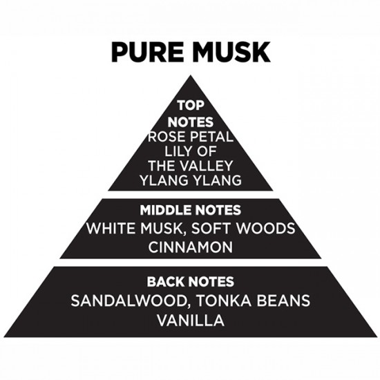 Αρωματικό Χώρου Με Sticks Themagio Pure Musk 100ml 1 Τεμάχιο