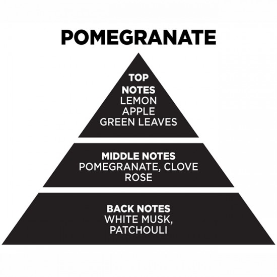 Αρωματικό Χώρου Με Sticks Themagio Pomegranate 100ml 1 Τεμάχιο