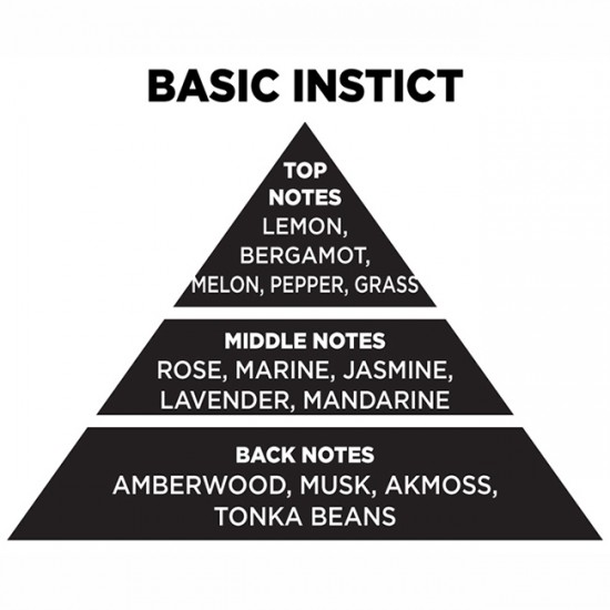 Αρωματικό Χώρου Με Sticks Themagio Basic Instict 100ml 1 Τεμάχιο