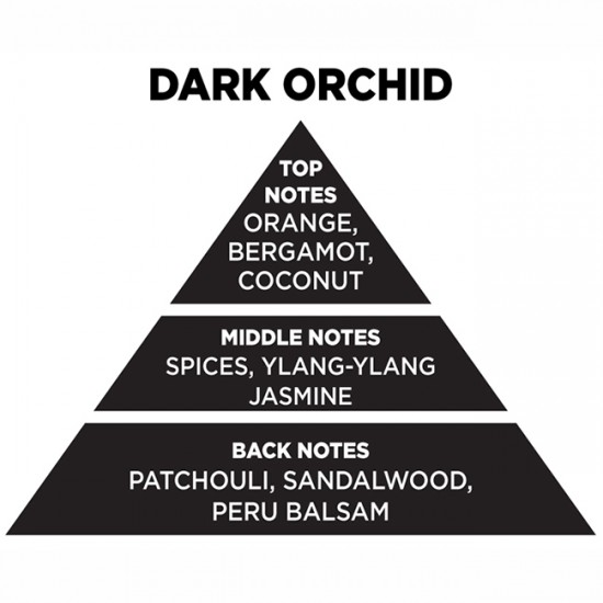 Αρωματικό Χώρου Με Sticks Themagio Dark Orchid 100ml 1 Τεμάχιο