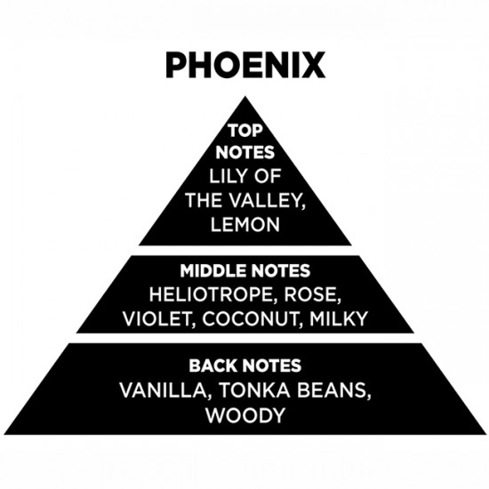 Αρωματικό Χώρου Με Sticks Themagio Phoenix 100ml 1 Τεμάχιο