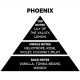 Αρωματικό Χώρου Με Sticks Themagio Phoenix 100ml 1 Τεμάχιο