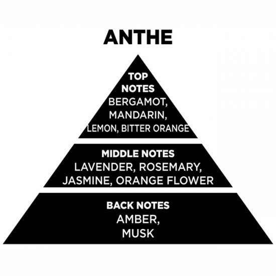 Αρωματικό Χώρου Με Sticks Themagio Anthe 200ml 1 Τεμάχιο