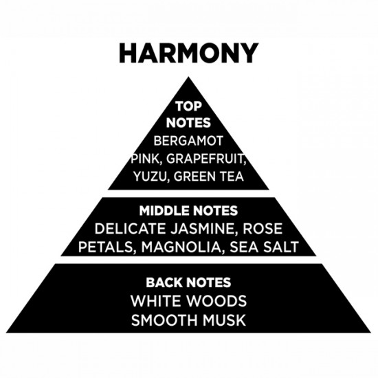 Αρωματικό Χώρου Με Sticks Themagio Harmony 200ml 1 Τεμάχιο