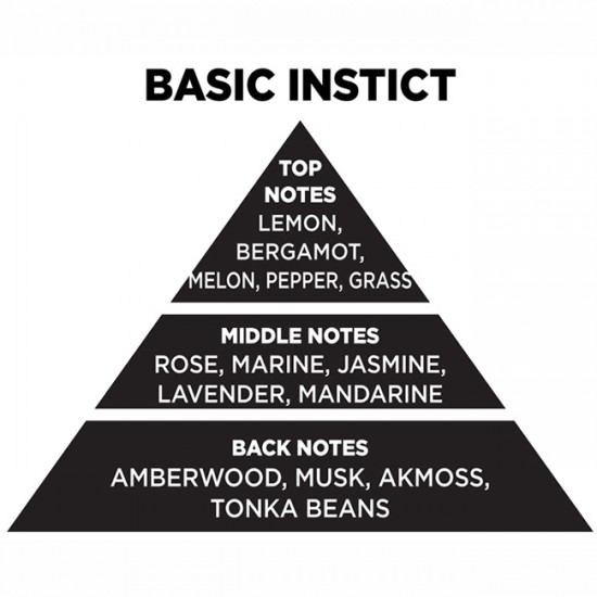 Αρωματικό Χώρου Με Sticks Themagio Basic Instict 200ml 1 Τεμάχιο