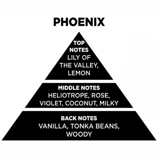 Αρωματικό Χώρου Με Sticks Themagio Phoenix 200ml 1 Τεμάχιο