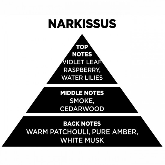 Αρωματικό Χώρου Με Sticks Themagio Narcissus 200ml 1 Τεμάχιο