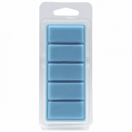 Αρωματικό Wax Melt Σόγιας Themagio Basic Instict 55gr 1 Τεμάχιο
