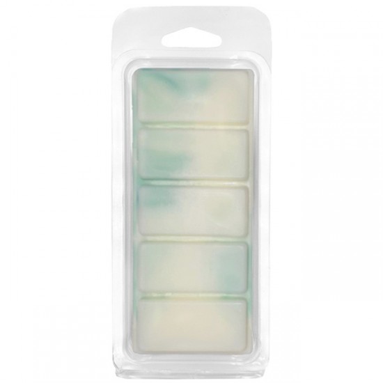 Αρωματικό Wax Melt Σόγιας Themagio Green Apple & Cinnamon 55gr 1 Τεμάχιο