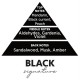 Σετ Αρωματικών Αυτοκινήτου Feral Basics Collection Black 10 Τεμάχια