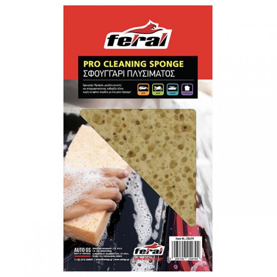 Σφουγγάρι Πλυσίματος Αυτοκινήτου Feral Natura 20.5x11x4.5cm 1 Τεμάχιο