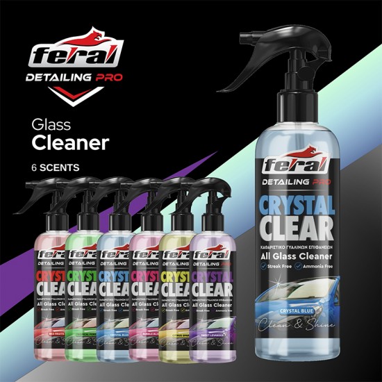 Καθαριστικό Τζαμιών Bubble Bliss Feral Detailing Pro 750ml 1 Τεμάχιο