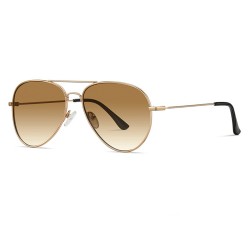 Techsuit - Sunglasses (3025) - for Women and Men, with UV Protection and Metal Frame - Gold / Brown