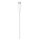 Apple - Original Data Cable A2561 (MM0A3ZM/A) - Type-C to Lightning Thunderbolt 3, 1m - White (Blister Packing)