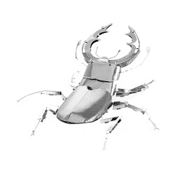Stag Beetle (1φ)