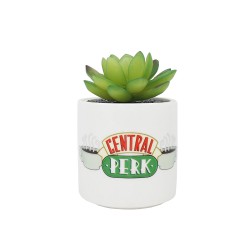 Friends (Central Perk)- Desk Tidy Pen/Plant Pot Faux Boxed
