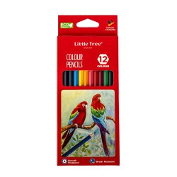12 Colour Pencil Set #48