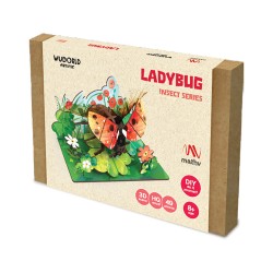 Artistic Insect: Ladybug