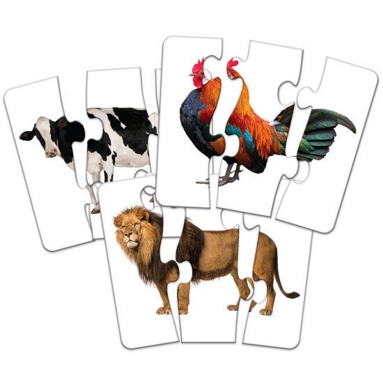 Ταίριαξέ το: Κεφάλι με ουρά