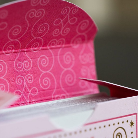 Bicycle Princess Pink & Navy