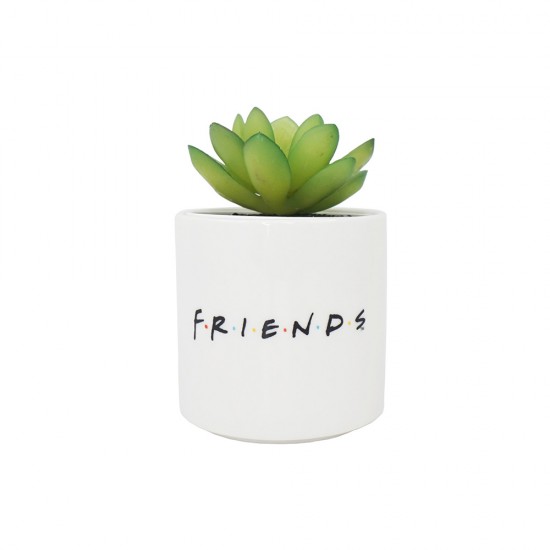 Friends (Central Perk)- Desk Tidy Pen/Plant Pot Faux Boxed