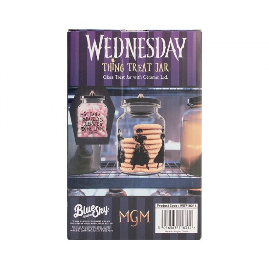 Wednesday Treat Jar