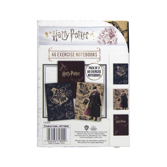 Harry Potter Notebook - A6 Exercise- Hogwarts Wizard Dynasty