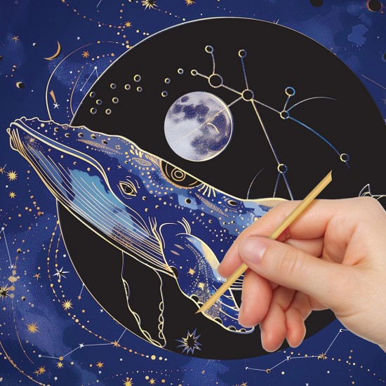 Picture Etch: Midnight Creatures