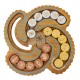 Egyptian Coin Trade - Brainteaser Puzzle