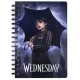 Wednesday rain A5 notebook 4 Τεμ.