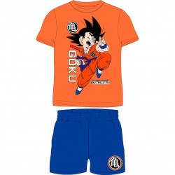 Dragon Ball outfit 12 Τεμ.