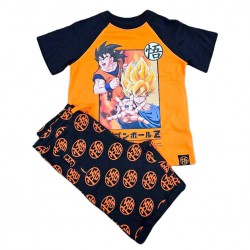 Dragon Ball outfit 6 Τεμ.