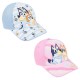Bluey assorted cap 12 Τεμ.