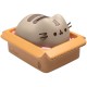 Pusheen money box