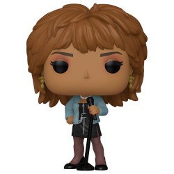 POP figure Tina Turner