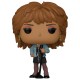 POP figure Tina Turner