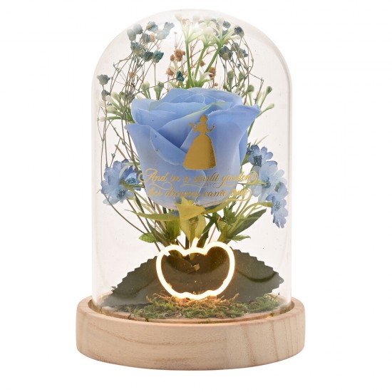 Disney Princess Cinderella florals in a clonche with neon light