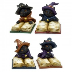 Black Cat Witch's Book of Spells assorted figure 6 Τεμ.