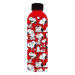 Peanuts Snoopy stainless steel soft touch water bottle 800ml