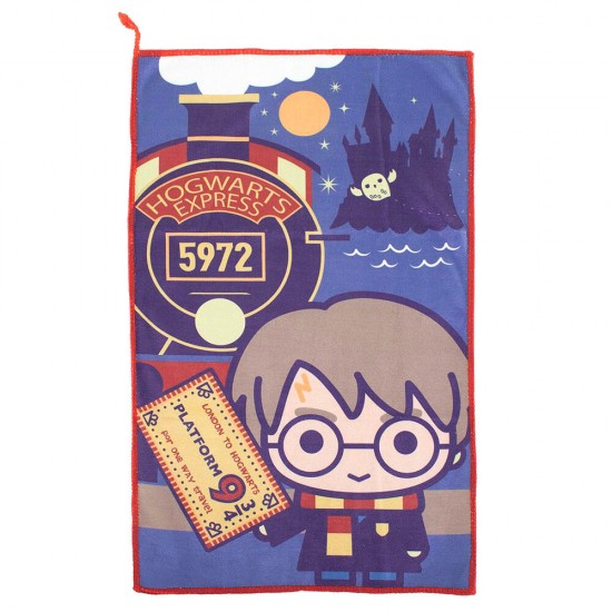 Harry Potter vanity case