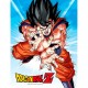 Dragon Ball Z Goku Kame glass poster