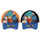 Dragon Ball assorted cap 6 Τεμ.